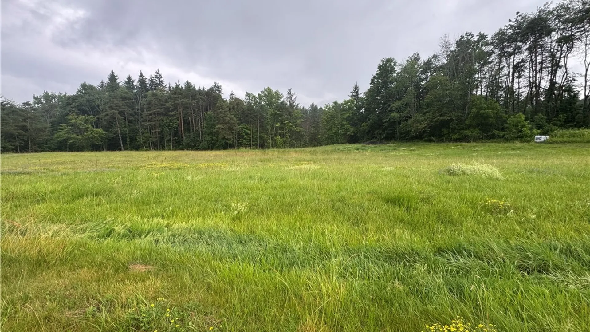Property at 2630 Attica Road, Alexander, NY 14005 4