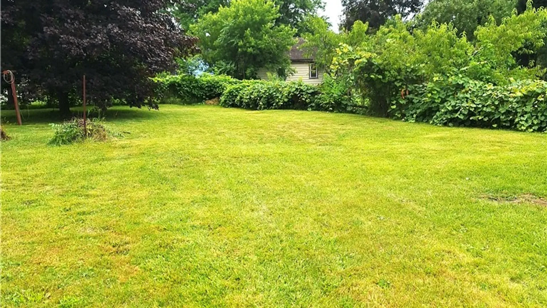 Property at 59 Ossian Street, North Dansville, NY 14437 43