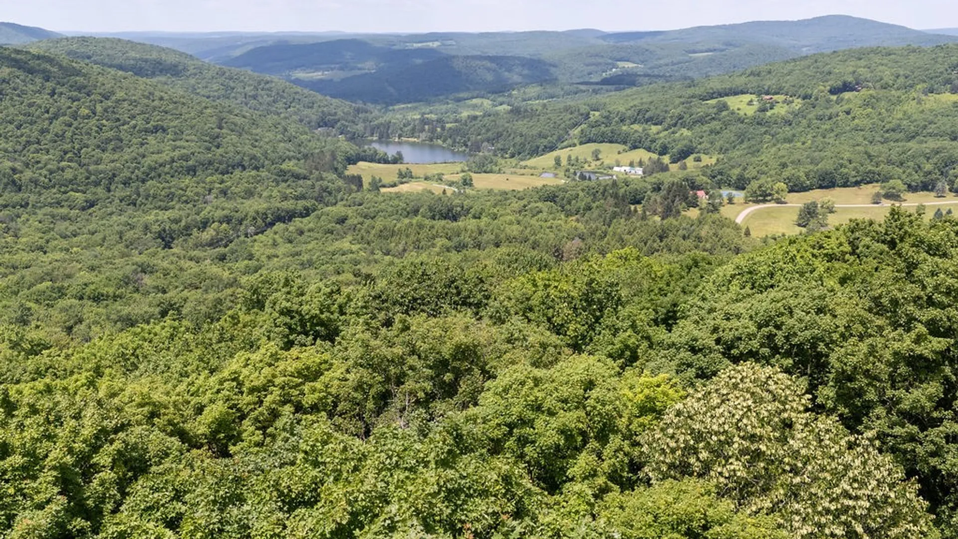 Property at Timberland Drive, Andes, NY 13731 31