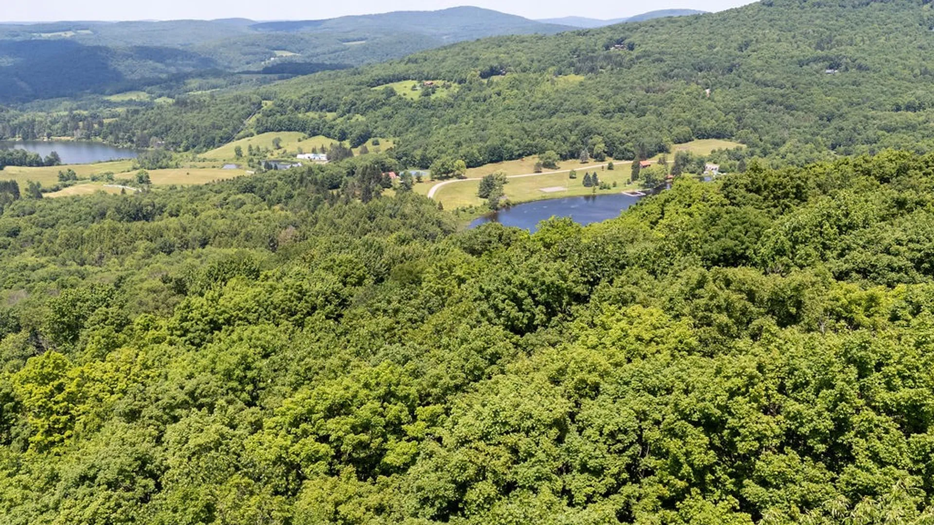 Property at Timberland Drive, Andes, NY 13731 32