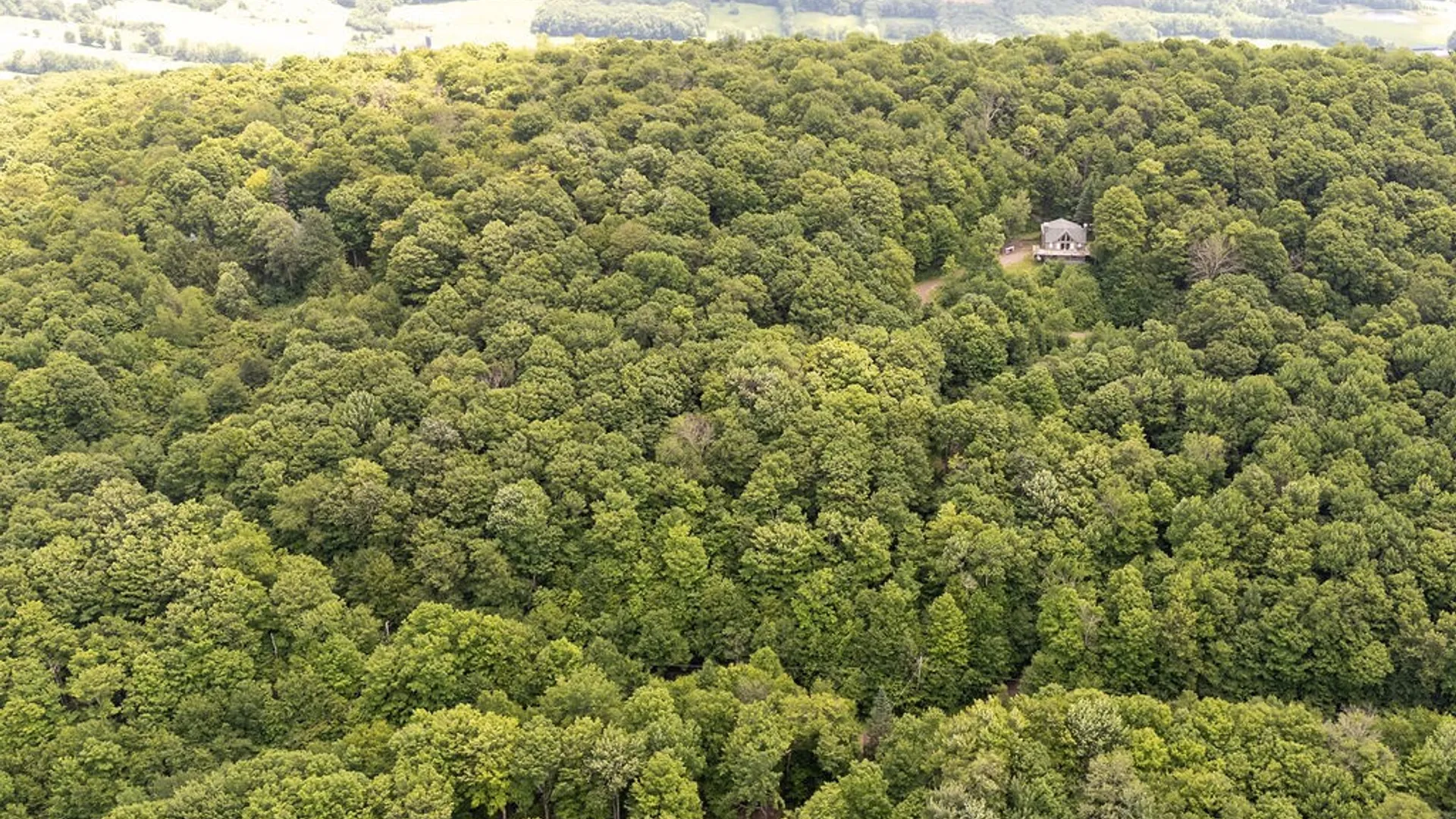 Property at Timberland Drive, Andes, NY 13731 28