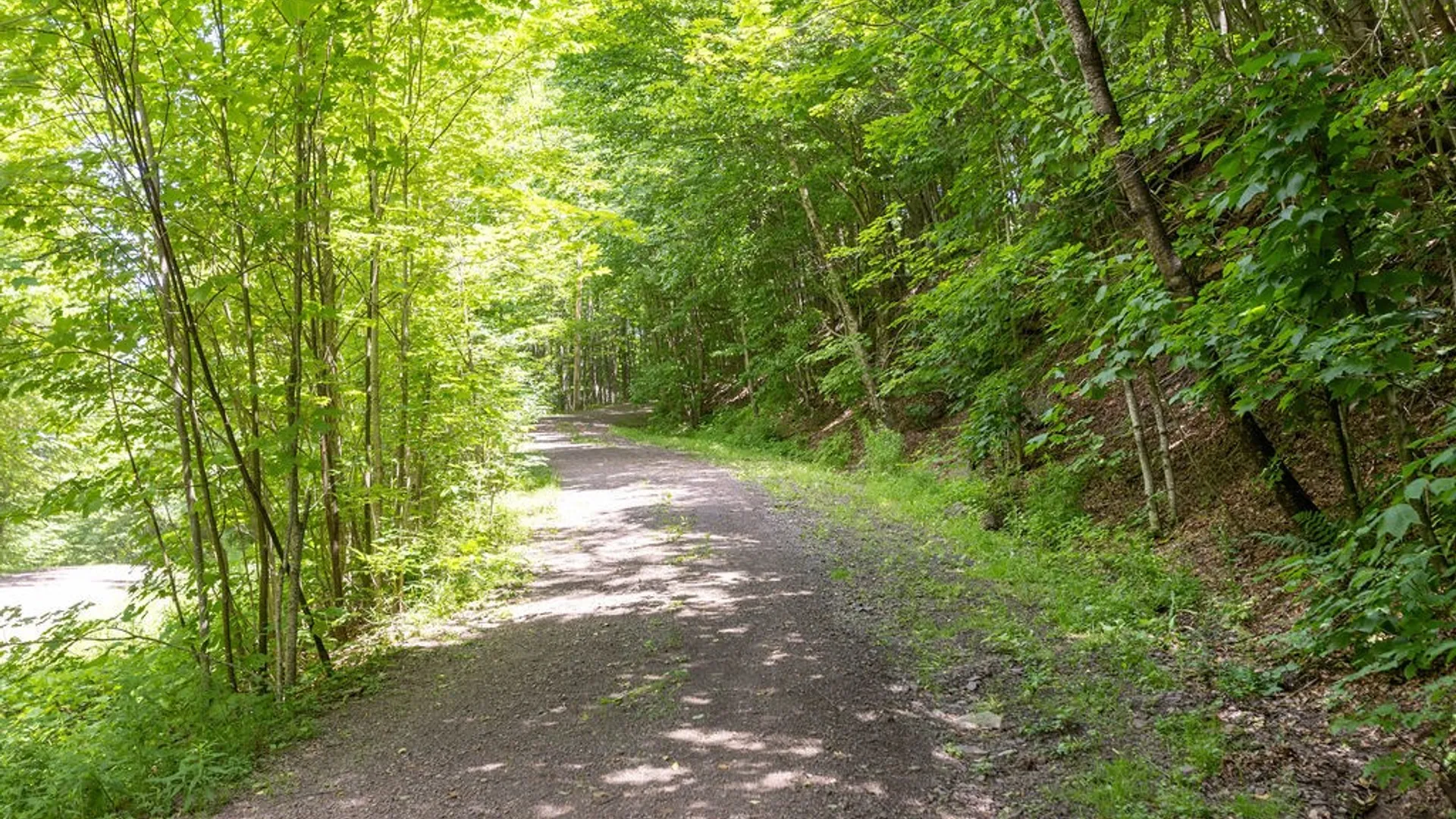 Property at Timberland Drive, Andes, NY 13731 3