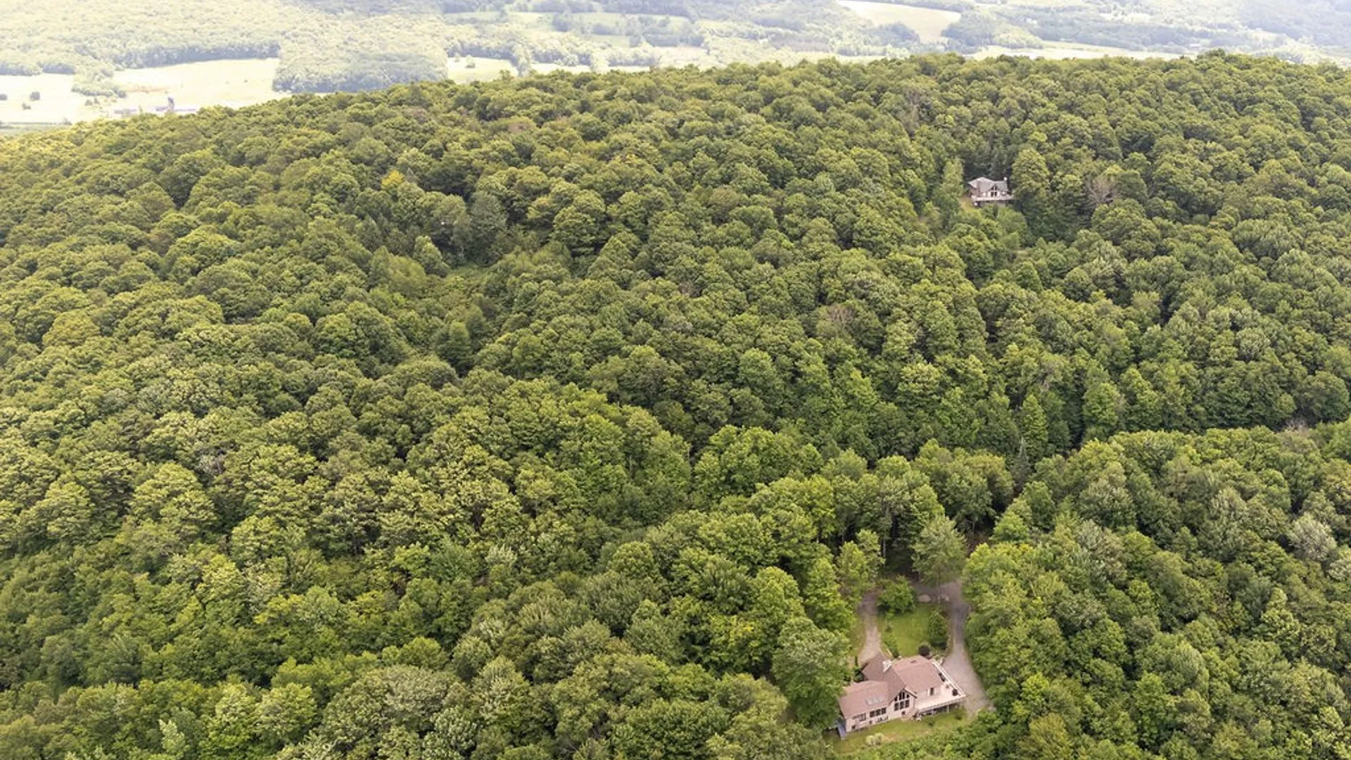 Property at Timberland Drive, Andes, NY 13731 30