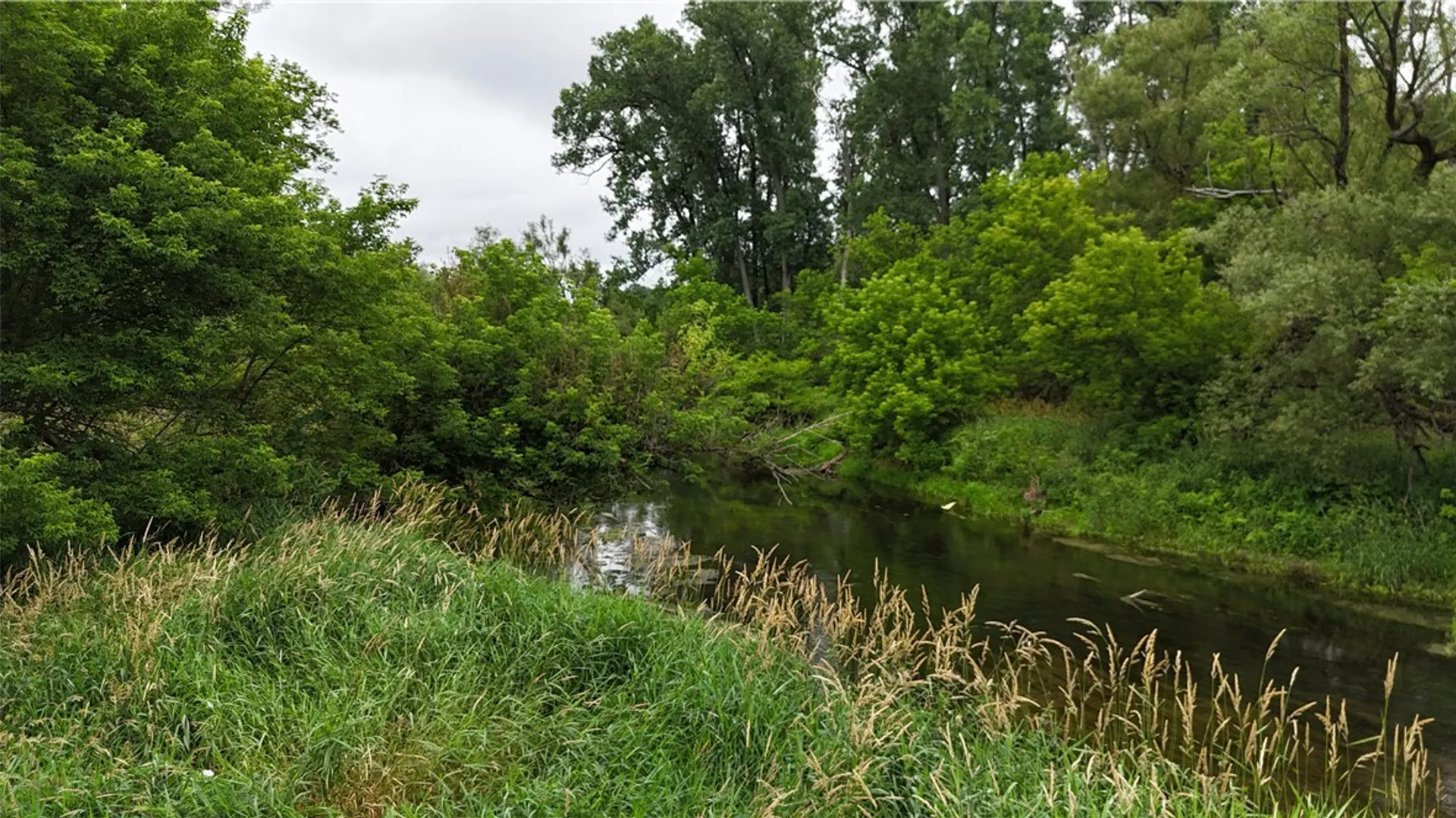 Property at 0 Rt-16, Franklinville, NY 14737 3