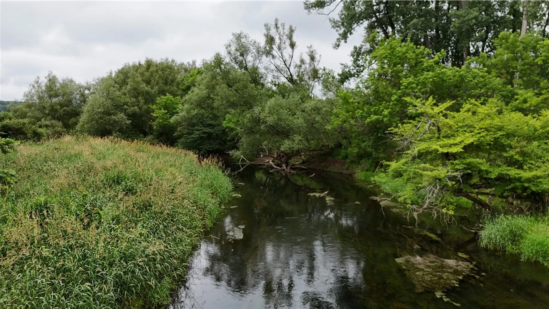 Property at 0 Rt-16, Franklinville, NY 14737 4