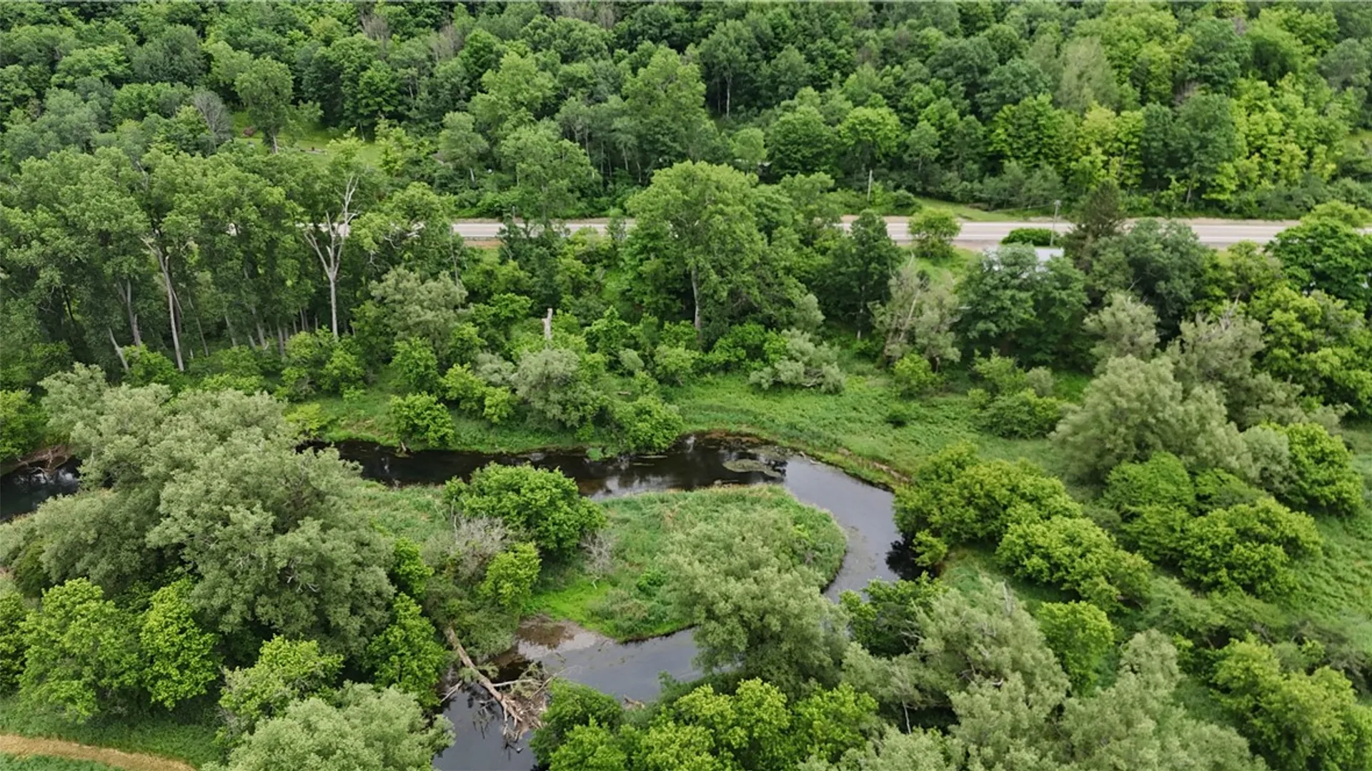 Property at 0 Rt-16, Franklinville, NY 14737 7