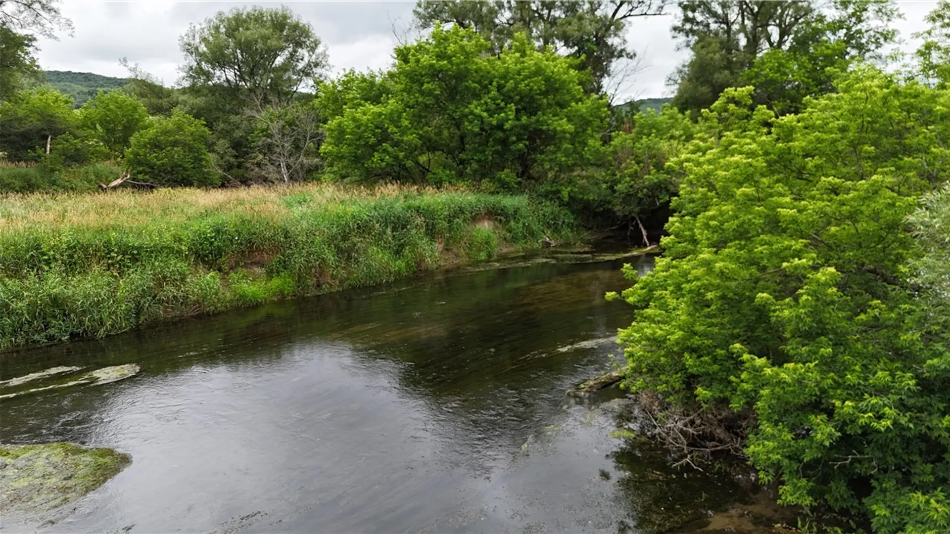 Property at 0 Rt-16, Franklinville, NY 14737 9