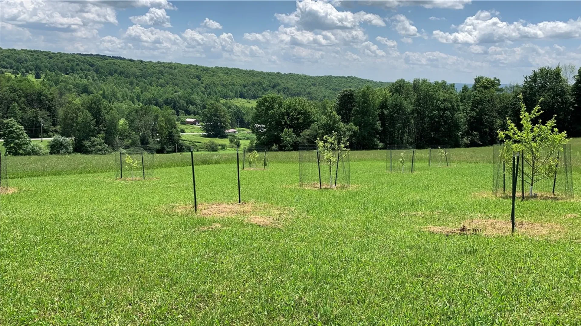 Property at 667 Boos Law Road, Smyrna, NY 13464 32
