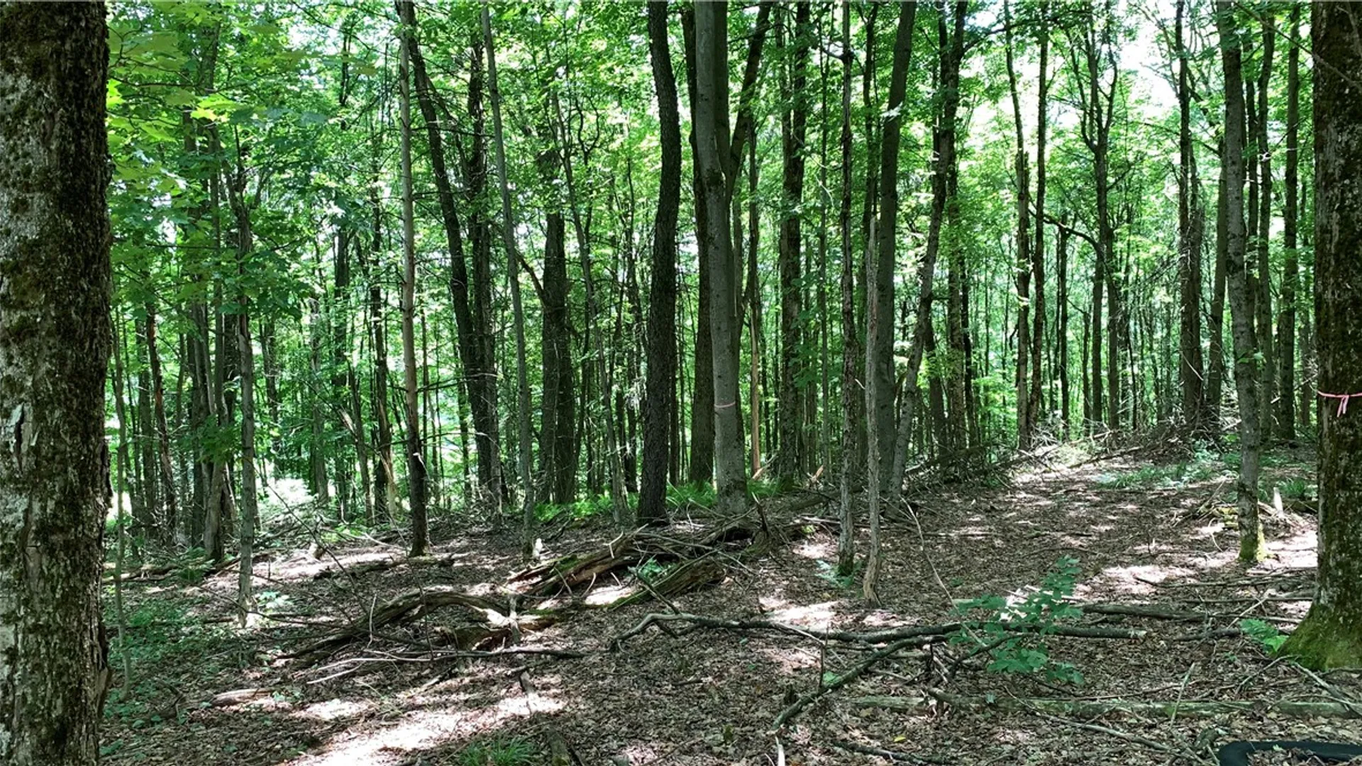 Property at 667 Boos Law Road, Smyrna, NY 13464 28