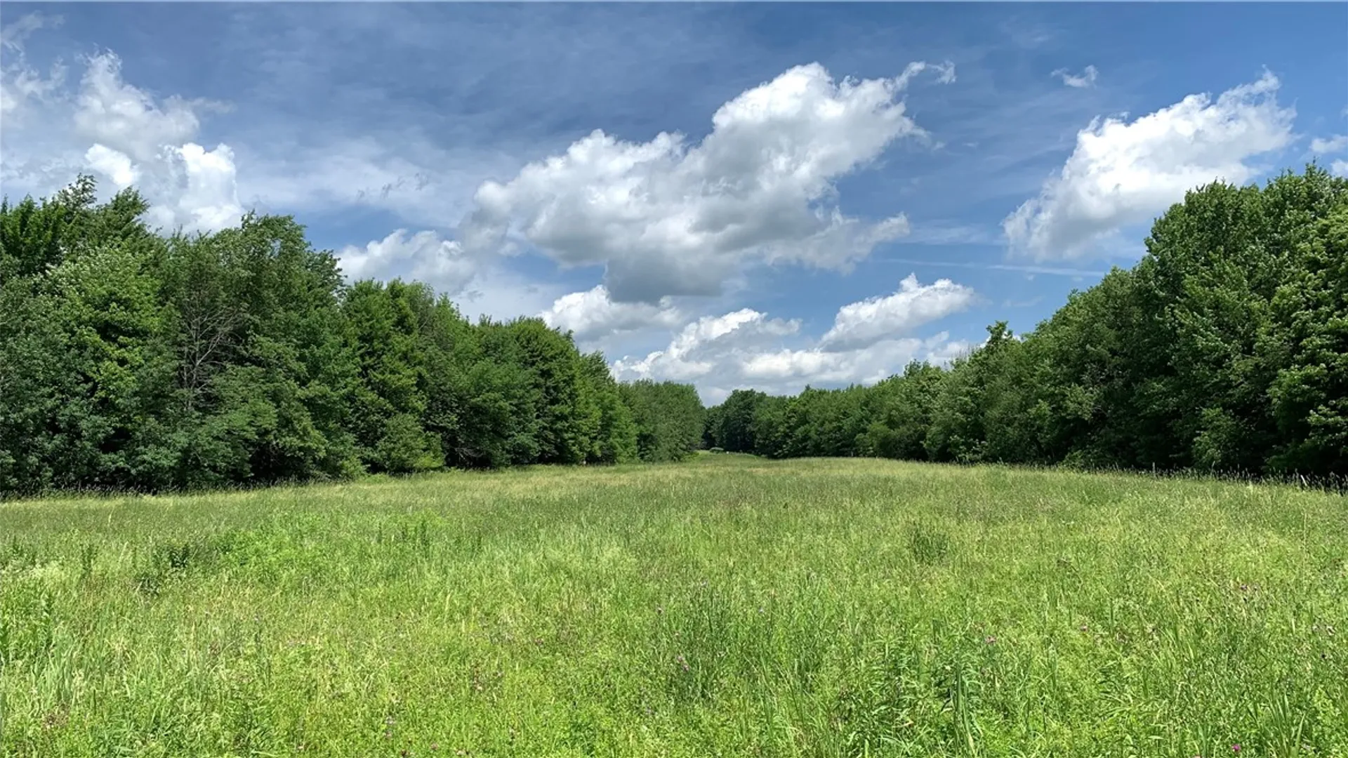 Property at 667 Boos Law Road, Smyrna, NY 13464 36