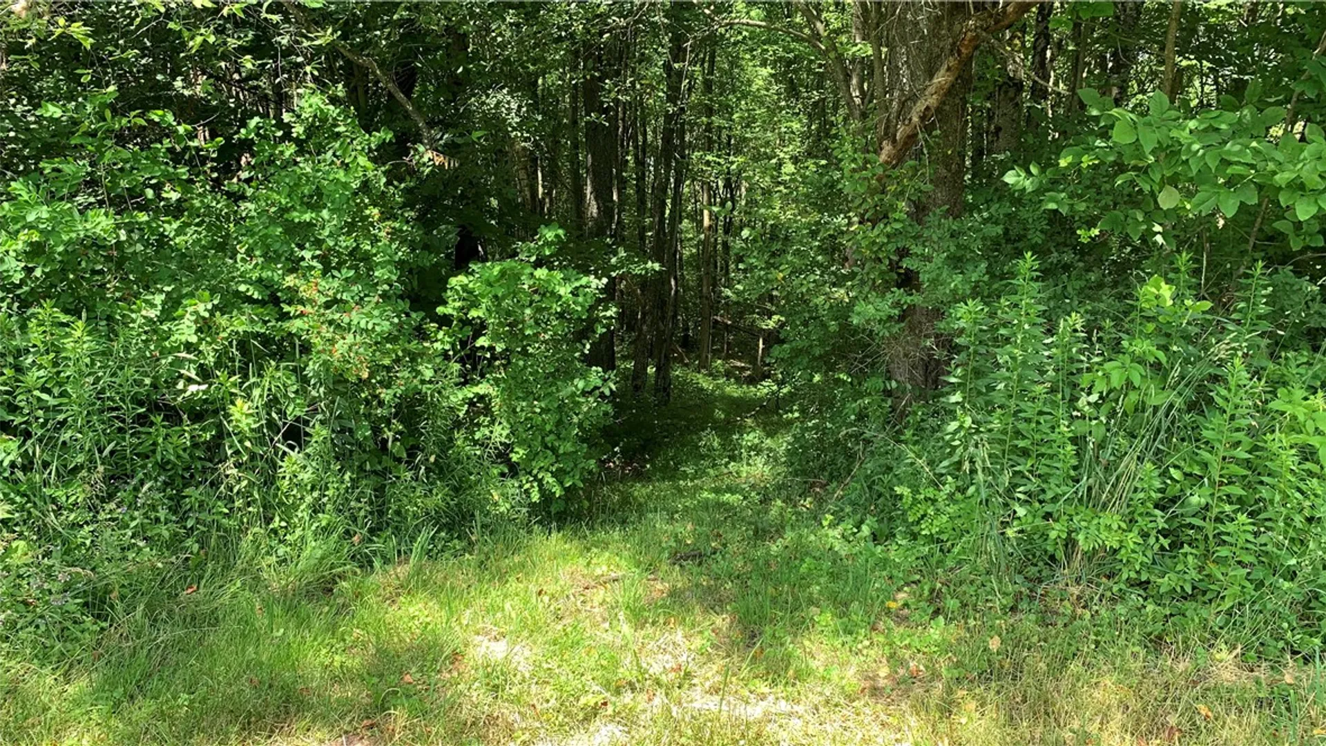 Property at 667 Boos Law Road, Smyrna, NY 13464 39