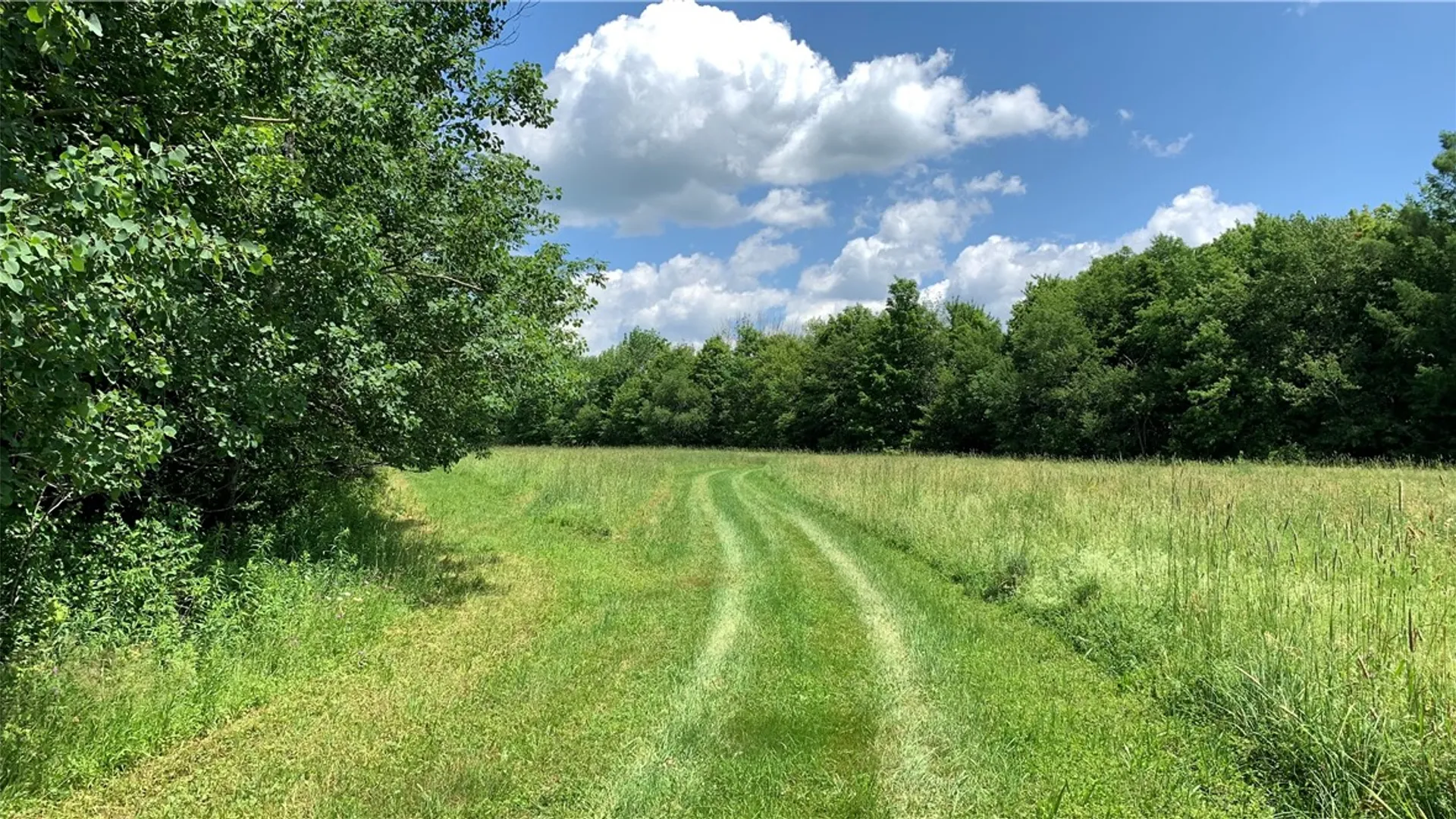 Property at 667 Boos Law Road, Smyrna, NY 13464 41