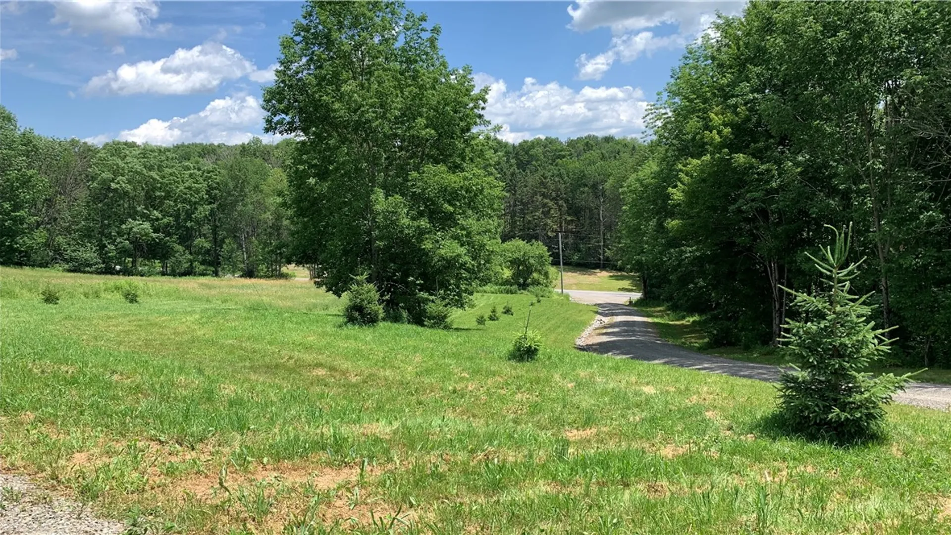 Property at 667 Boos Law Road, Smyrna, NY 13464 47