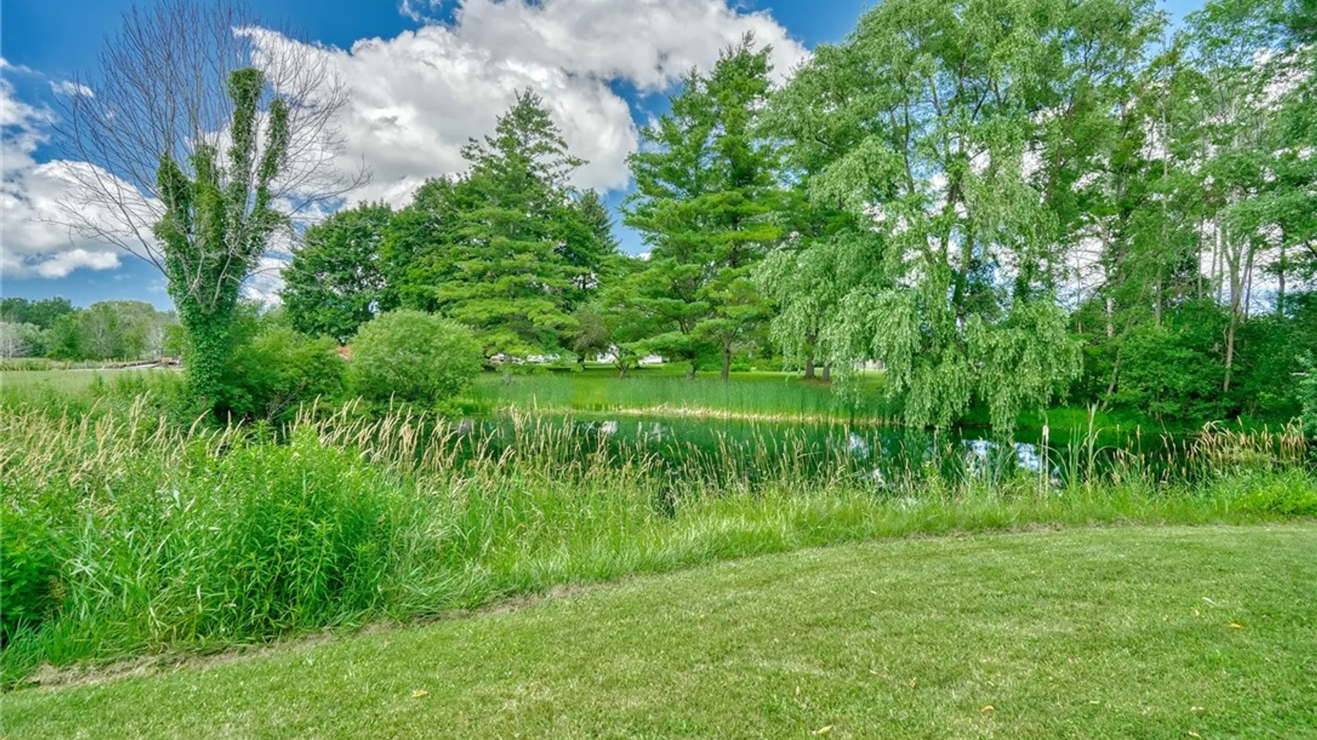 Property at 2720 Arbor Road Extension, Ontario, NY 14519 25