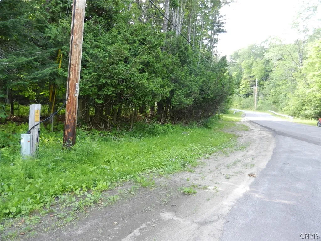 Property at 00 Bingham Mills Rd, Salisbury, NY 13470