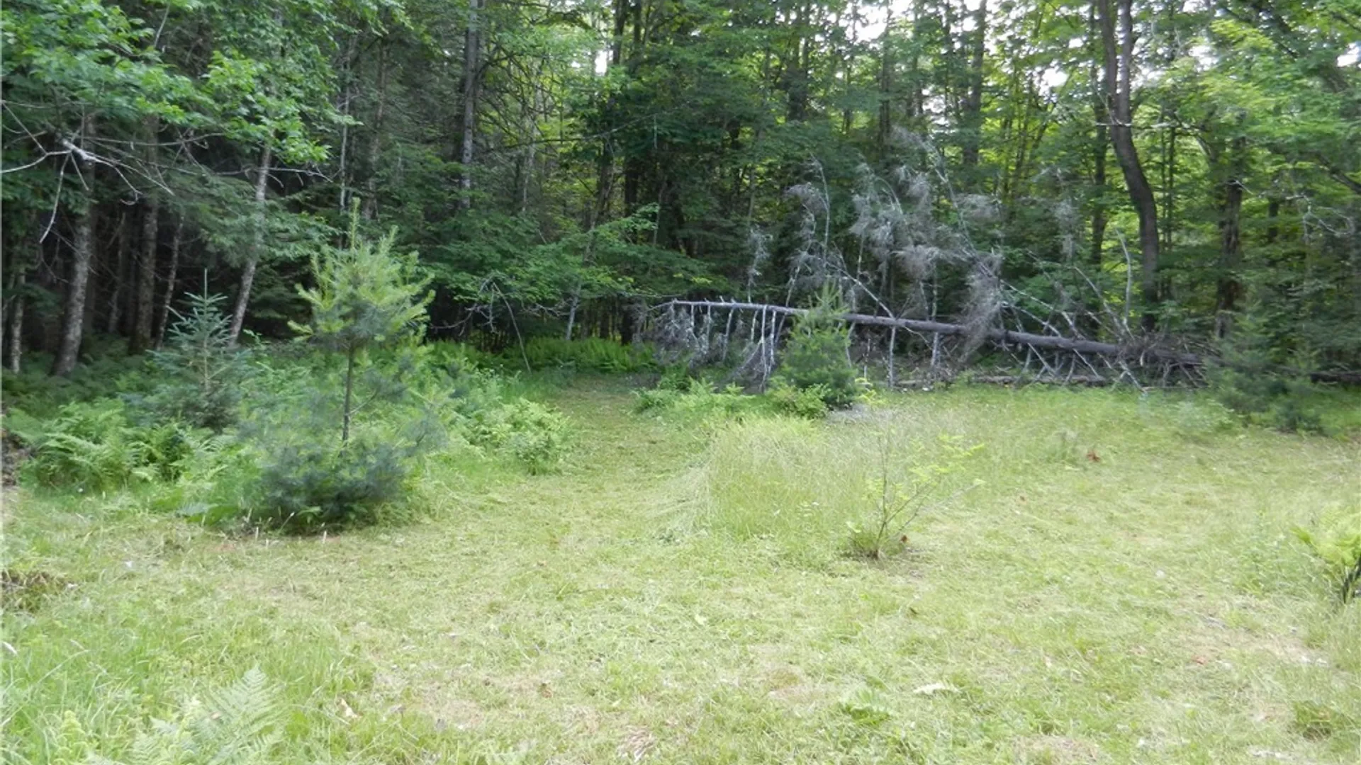 Property at 00 Bingham Mills Rd, Salisbury, NY 13470 3