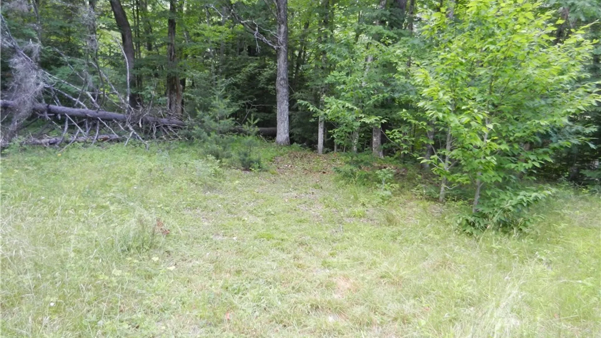 Property at 00 Bingham Mills Rd, Salisbury, NY 13470 4