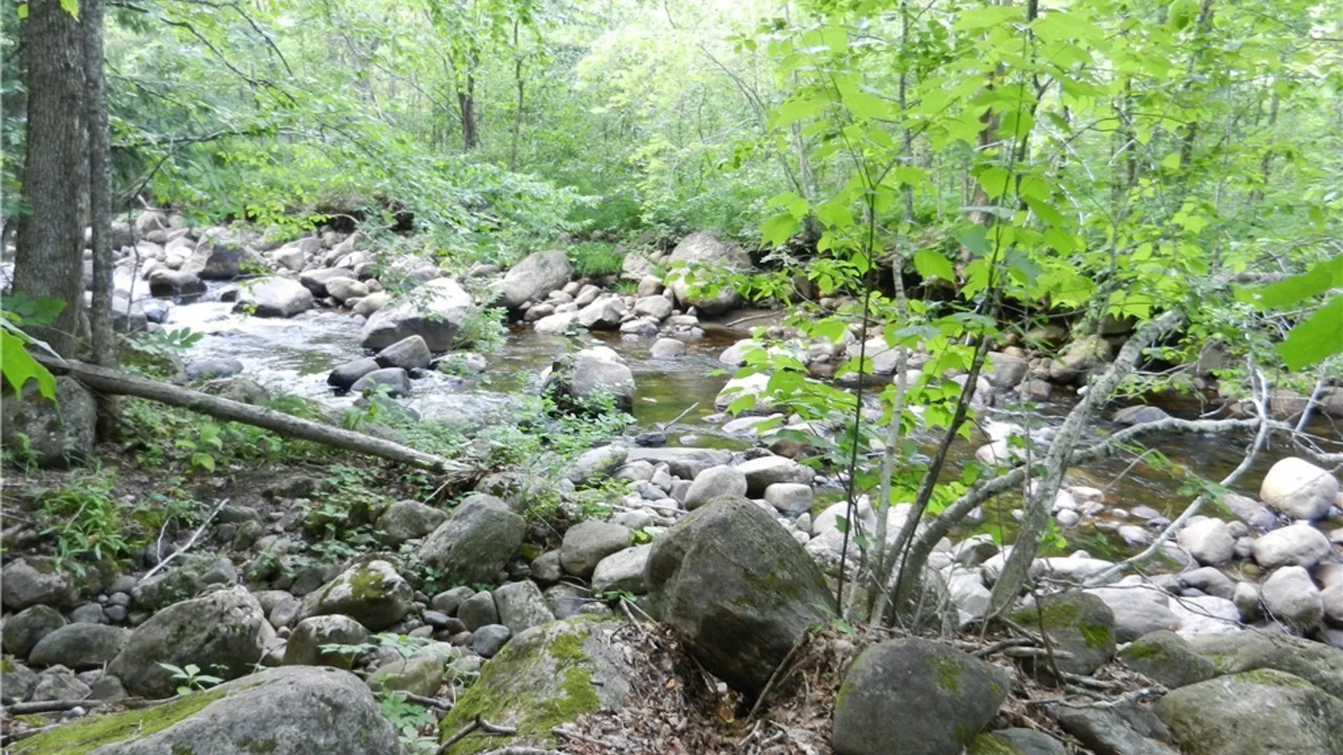 Property at 00 Bingham Mills Rd, Salisbury, NY 13470 5