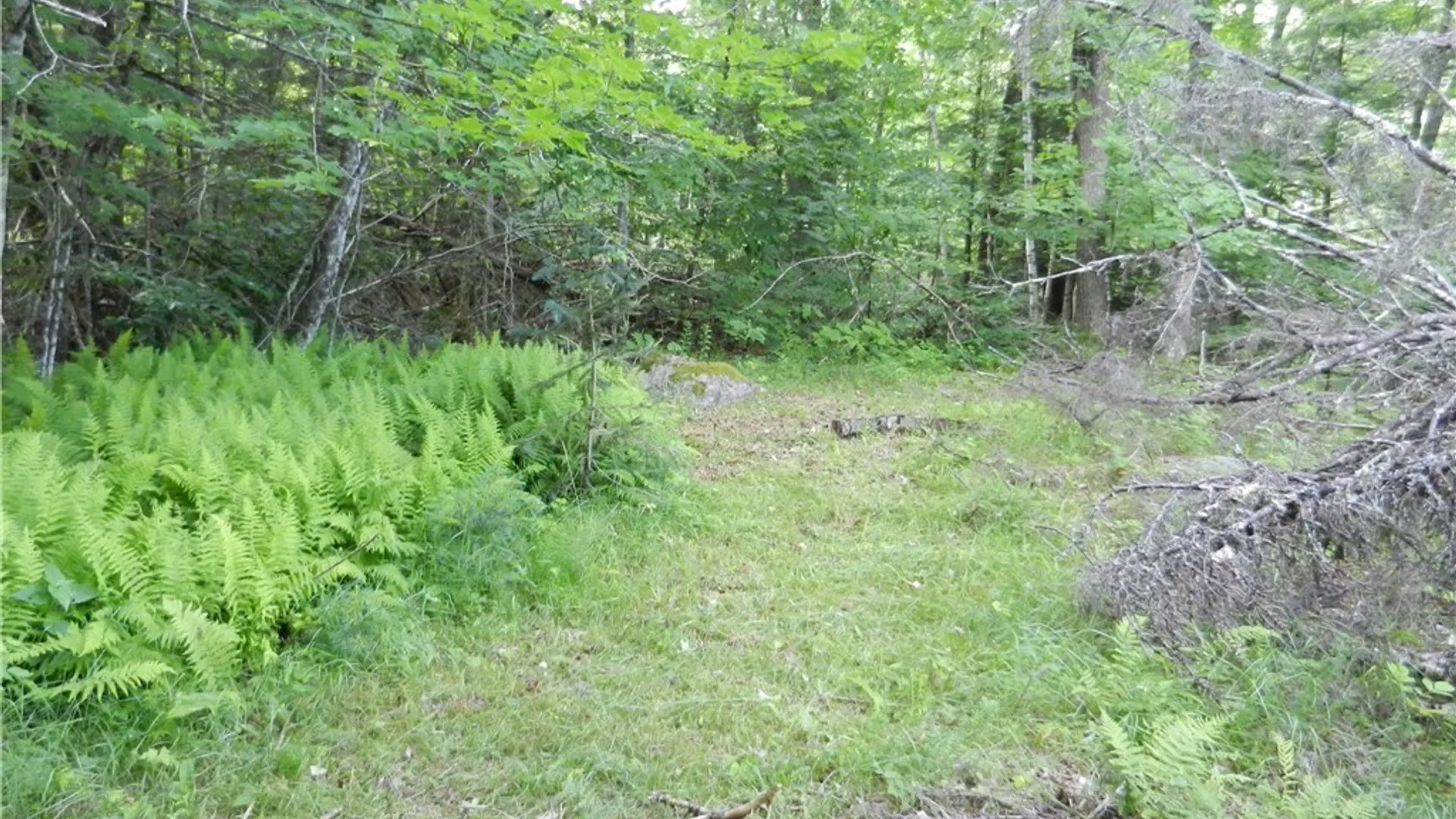 Property at 00 Bingham Mills Rd, Salisbury, NY 13470 8