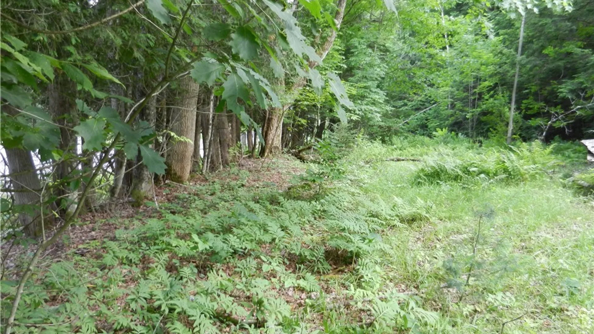 Property at 00 Bingham Mills Rd, Salisbury, NY 13470 9