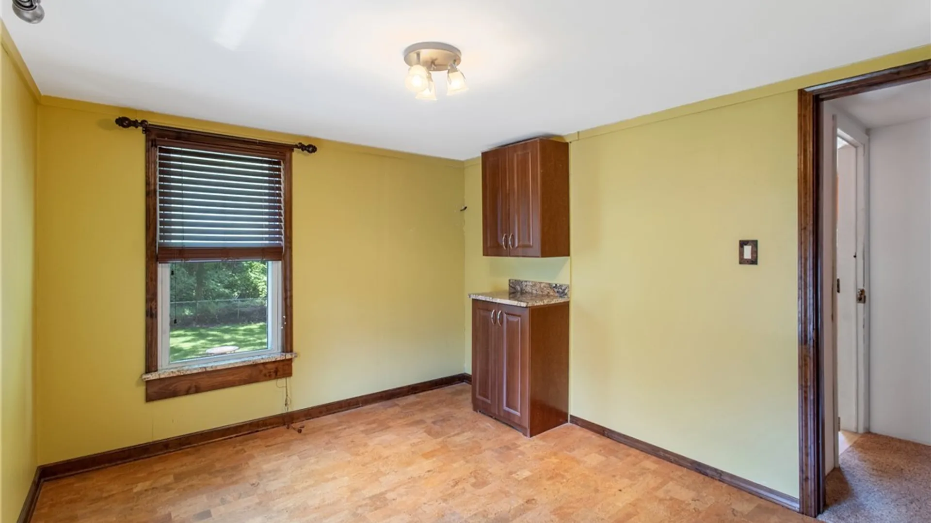 Property at 234 William Street, Manlius, NY 13116 17