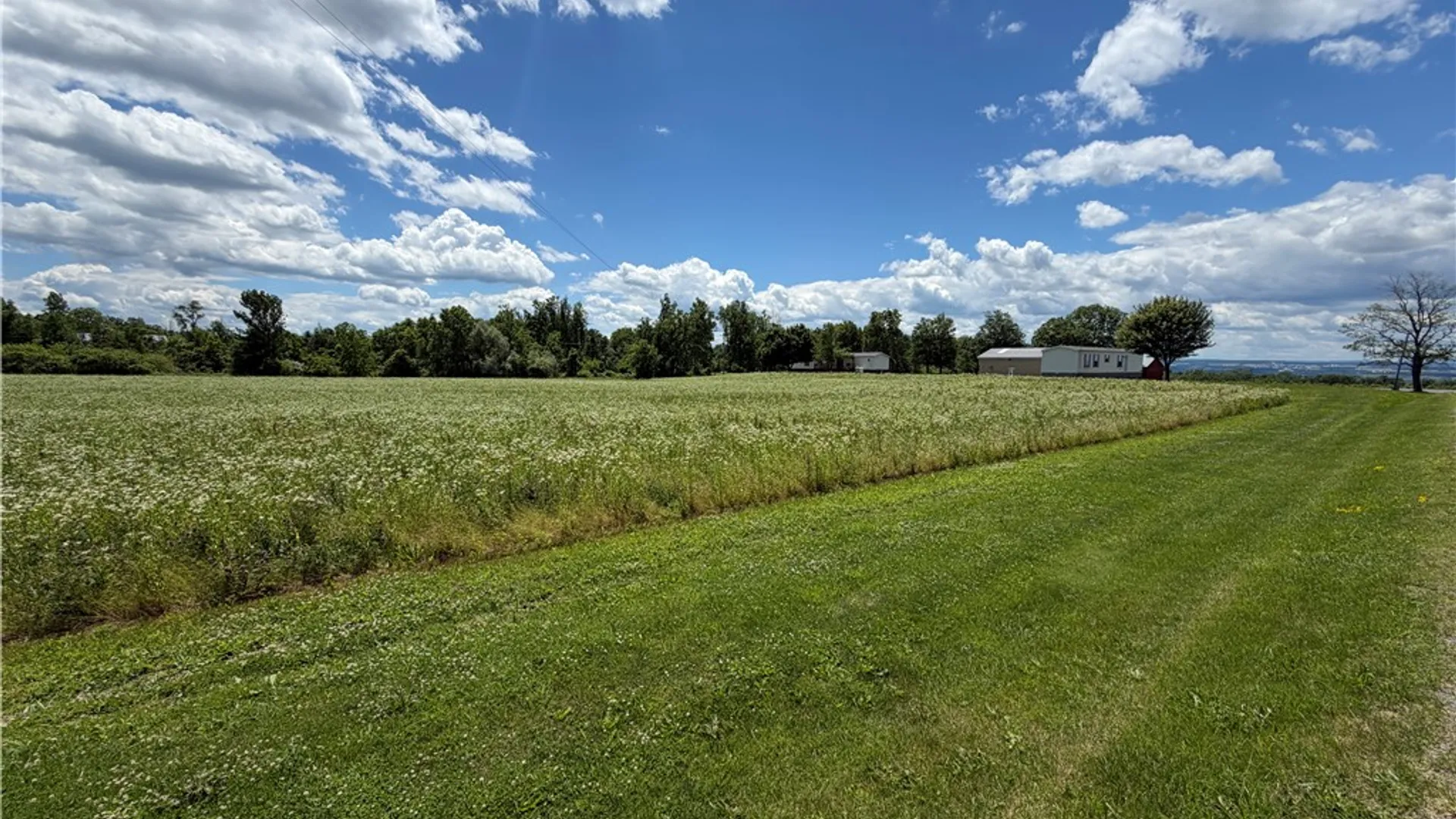 Property at 8199 County Road 131, Lodi, NY 14860 4
