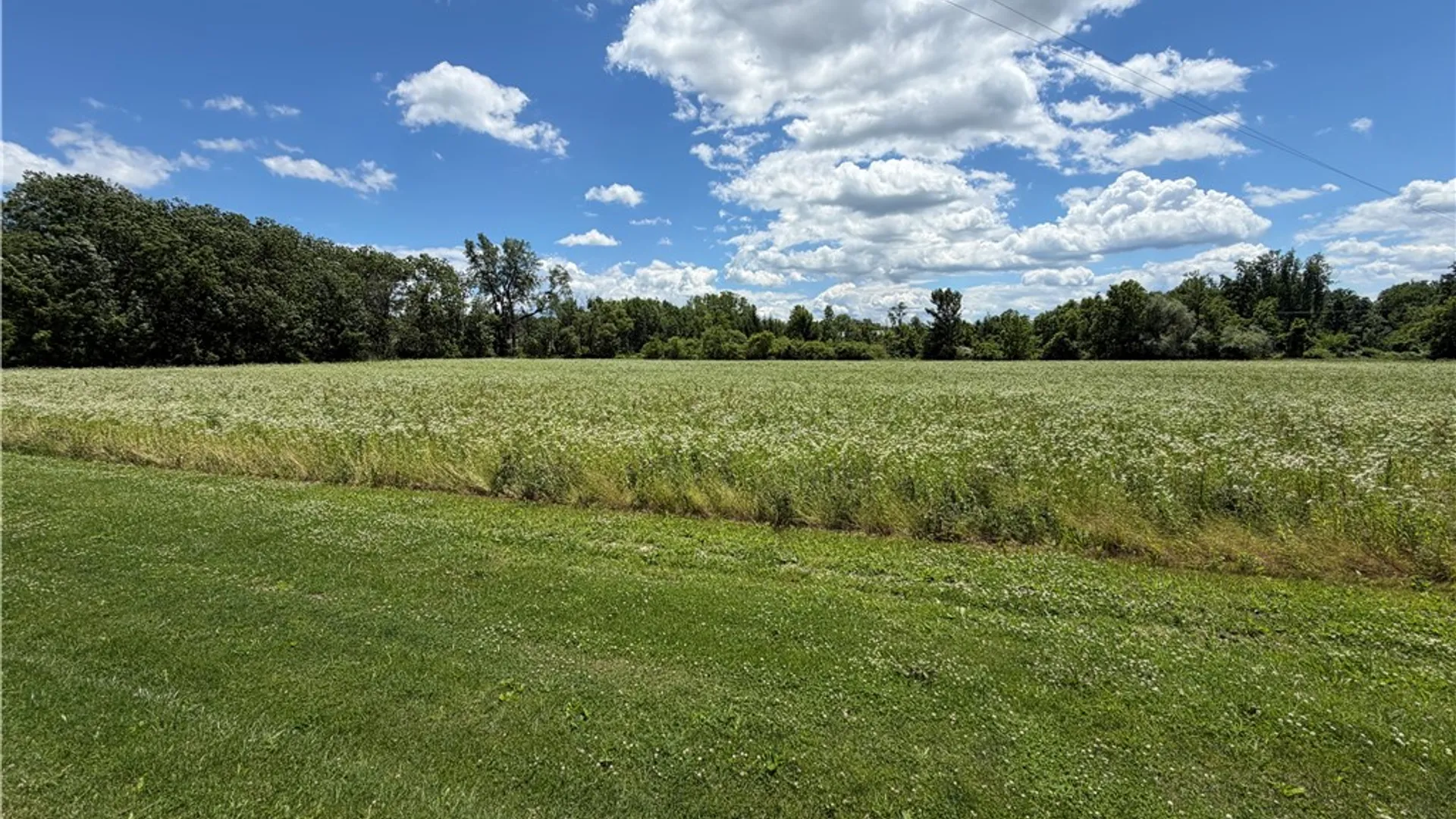 Property at 8199 County Road 131, Lodi, NY 14860 10