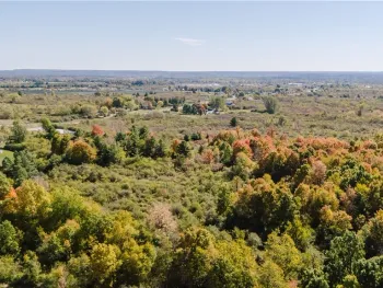 Property at NY State Route 12, Pamelia, NY 13637