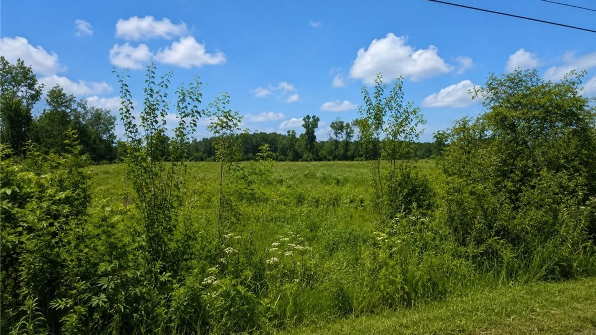 Property at Tonawanda Creek Road, Royalton, NY 14094 3