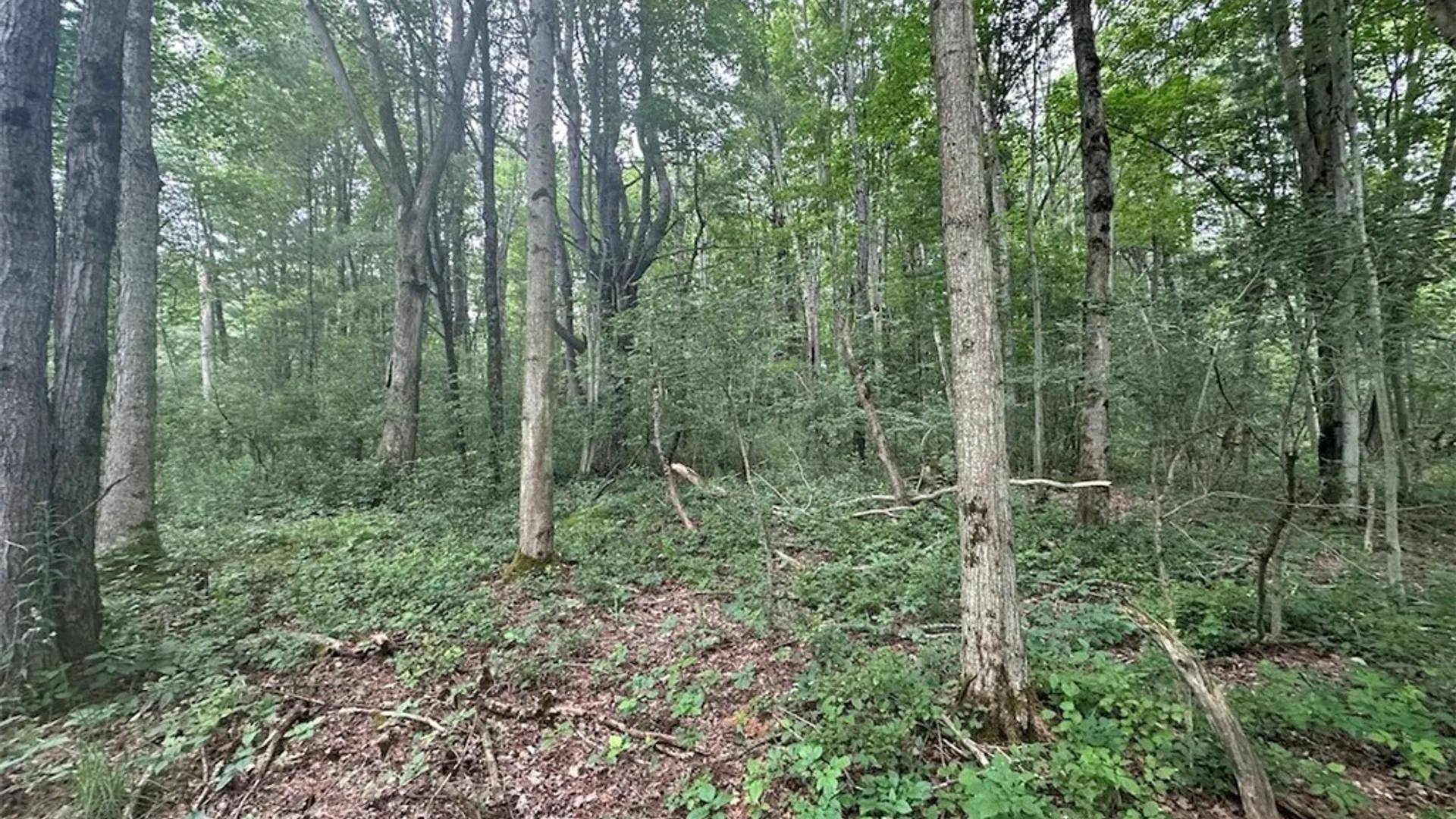 Property at Flat Iron Road, Granger, NY 14846 7