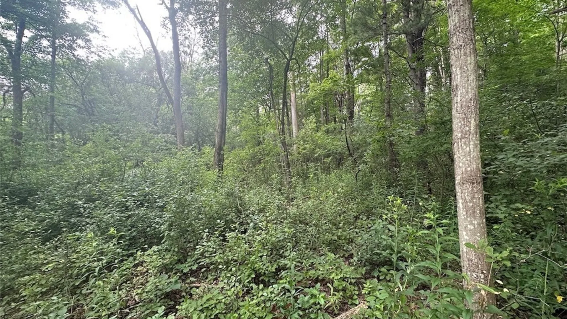 Property at Flat Iron Road, Granger, NY 14846 8