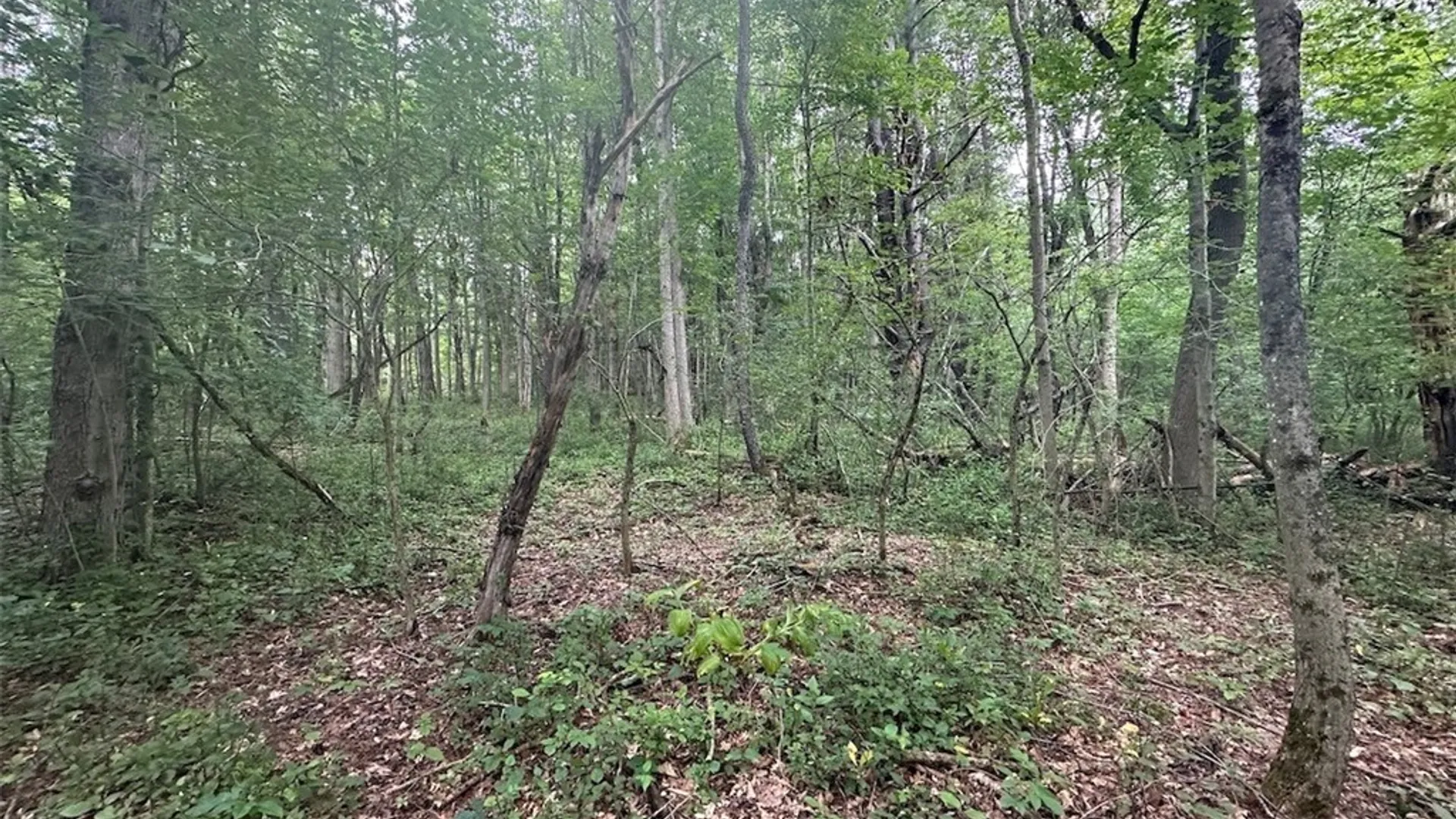 Property at Flat Iron Road, Granger, NY 14846 9