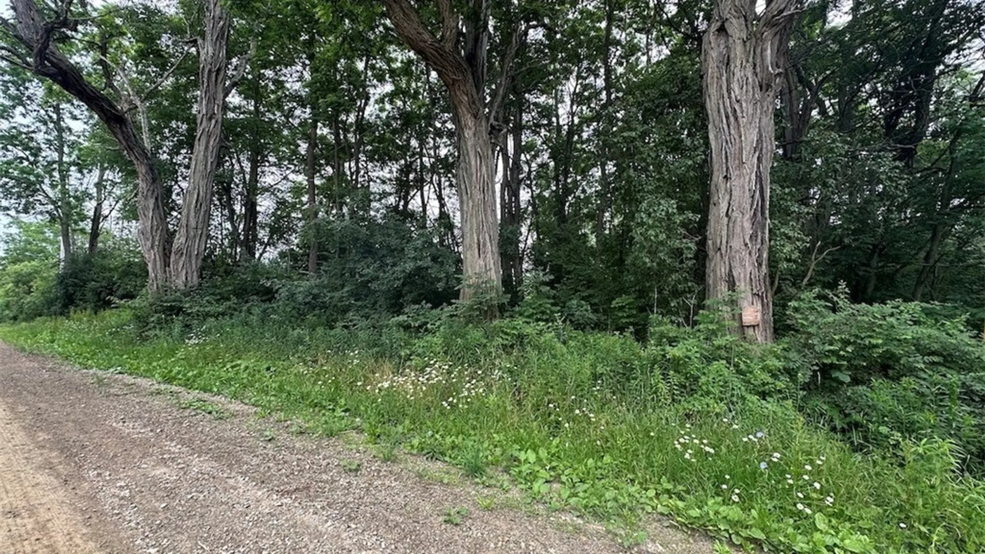 Property at Flat Iron Road, Granger, NY 14846 3
