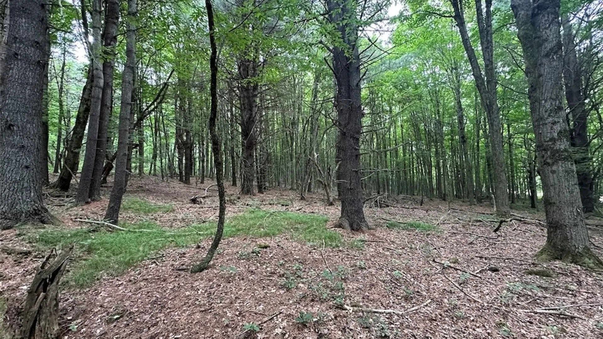 Property at Flat Iron Road, Granger, NY 14846 6