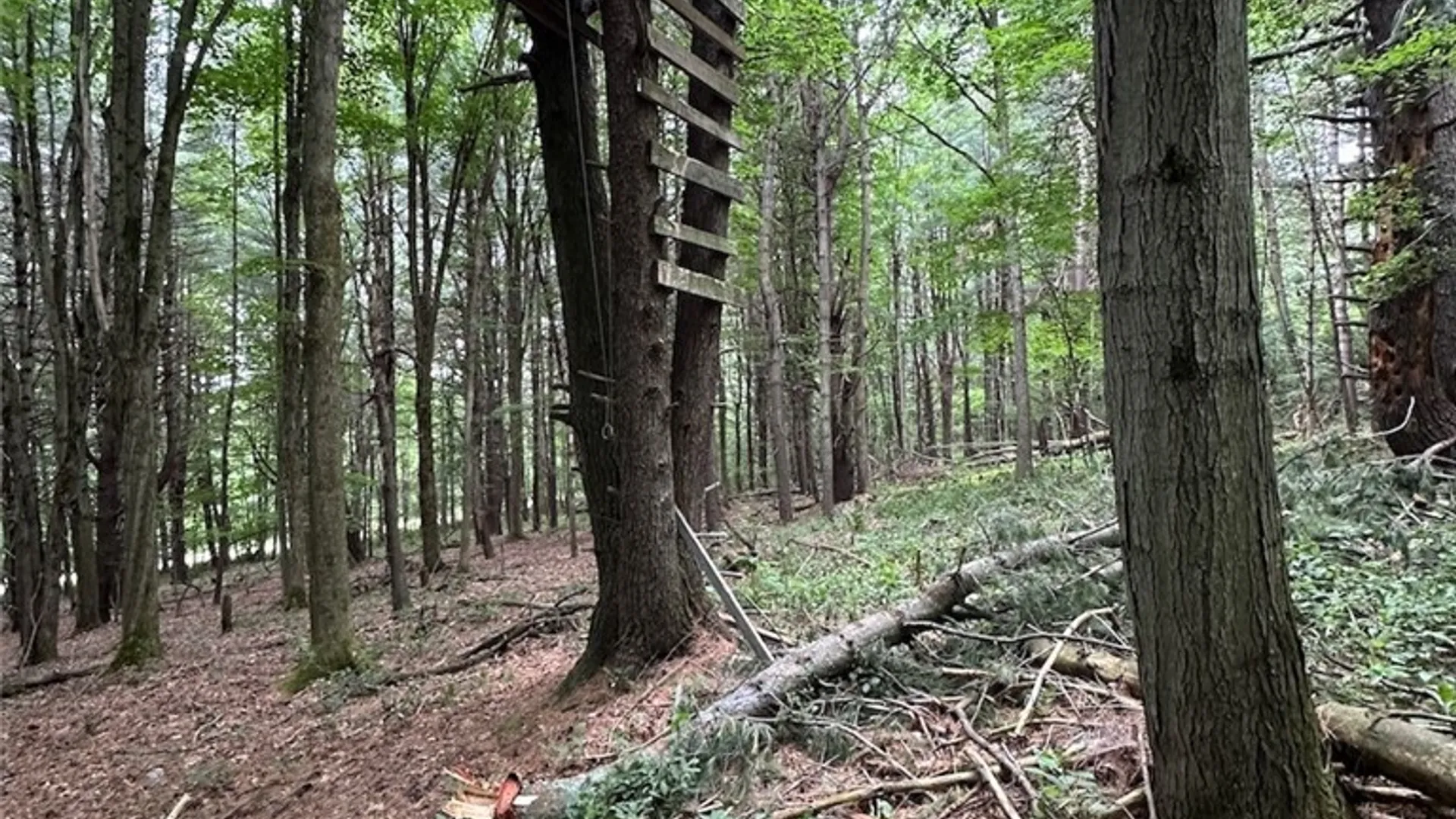 Property at Flat Iron Road, Granger, NY 14846 7