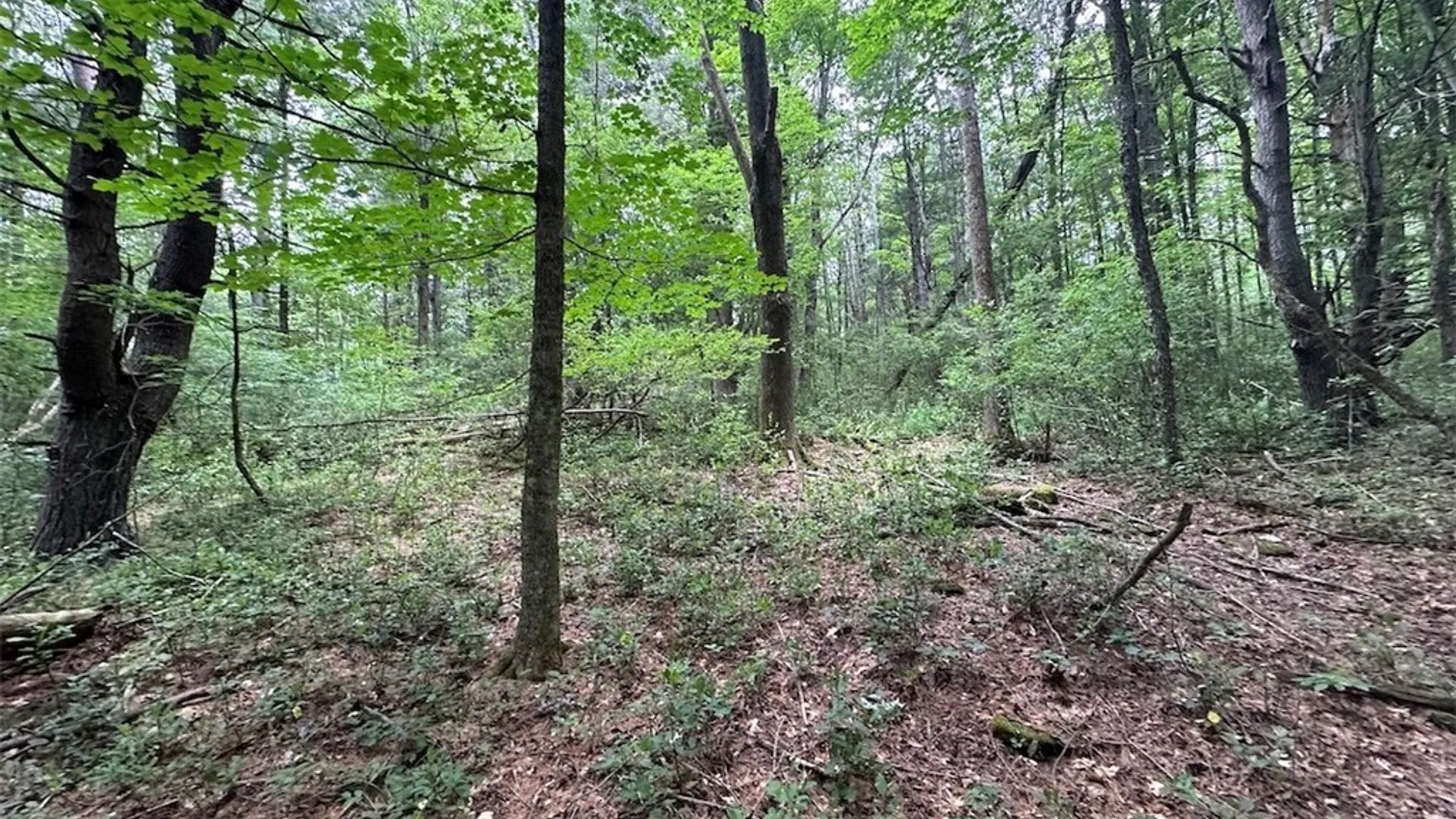 Property at Flat Iron Road, Granger, NY 14846 9