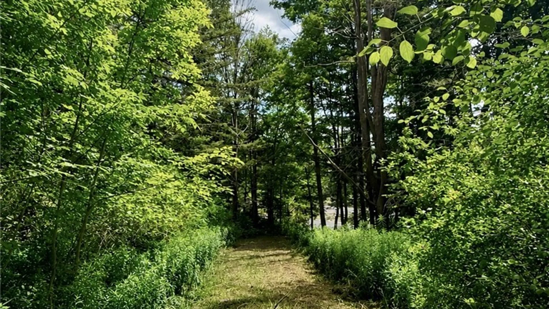 Property at Rte 20 East Road, Nelson, NY 13035 9