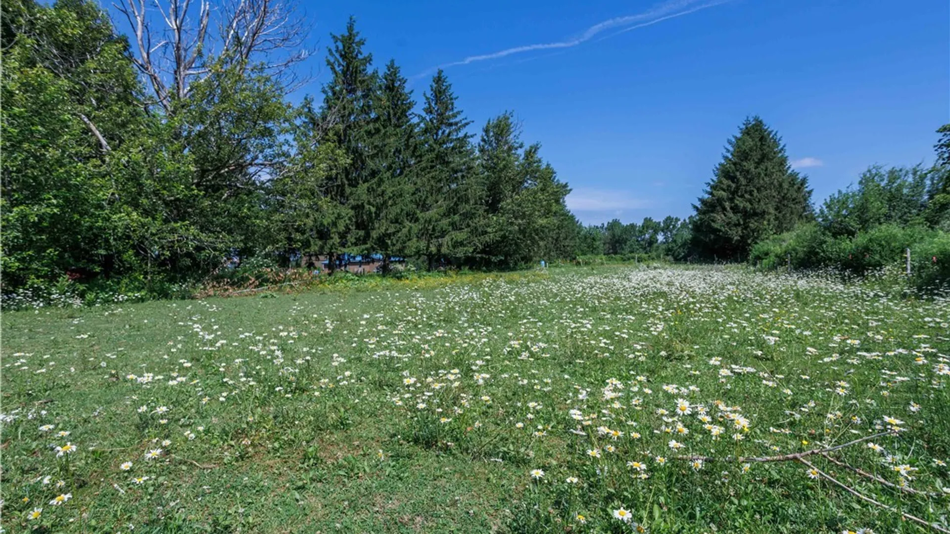 Property at 1644 Dutch Hill Road, Otisco, NY 13159 24
