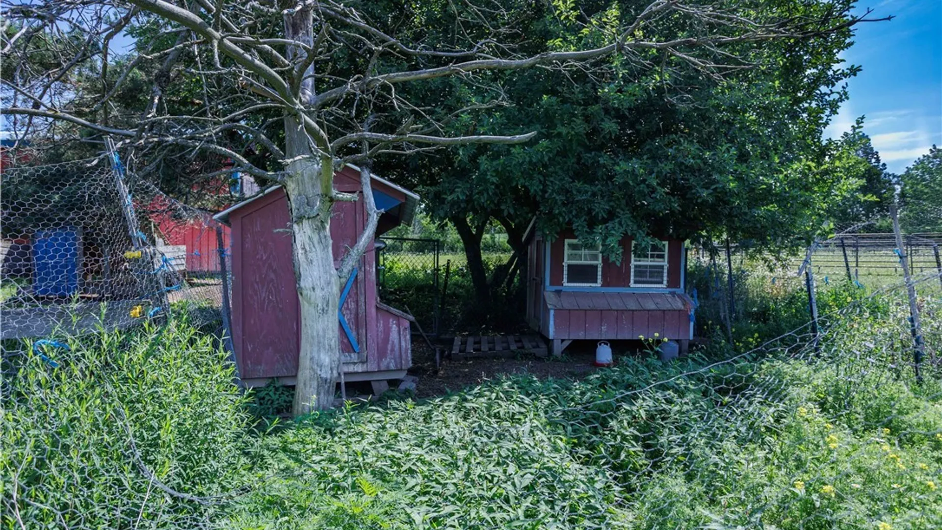 Property at 1644 Dutch Hill Road, Otisco, NY 13159 22