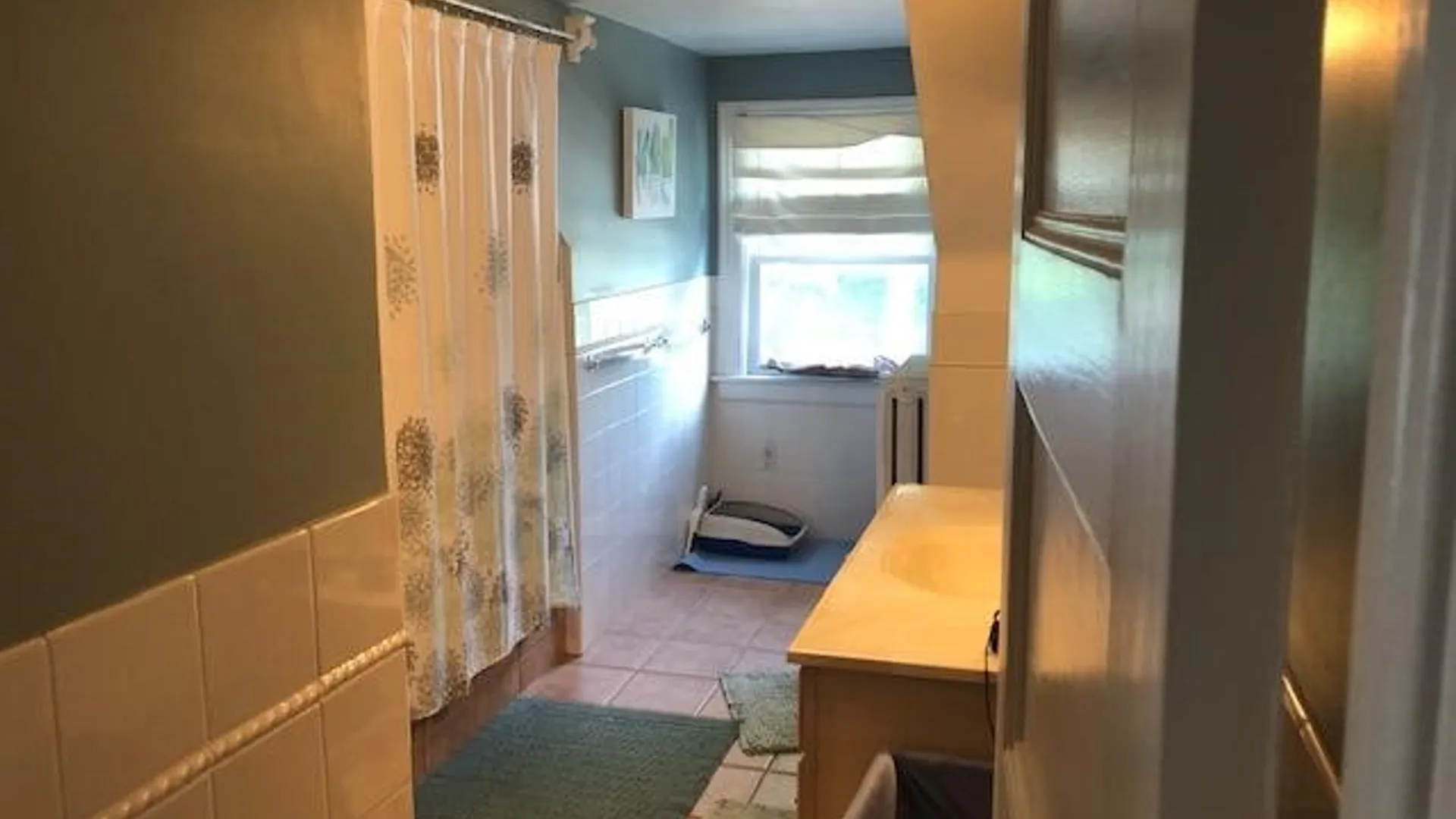 Property at 76 Barrington St, Rochester, NY 14607 11