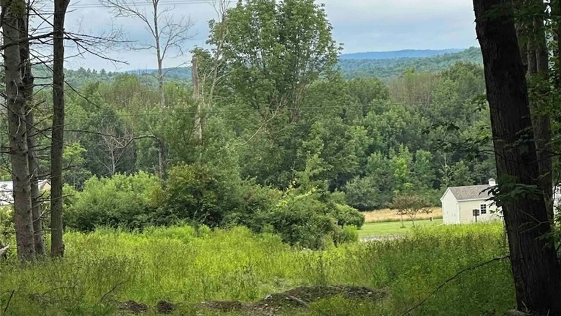 Property at 1501 Old State Road, Colesville, NY 13904 24