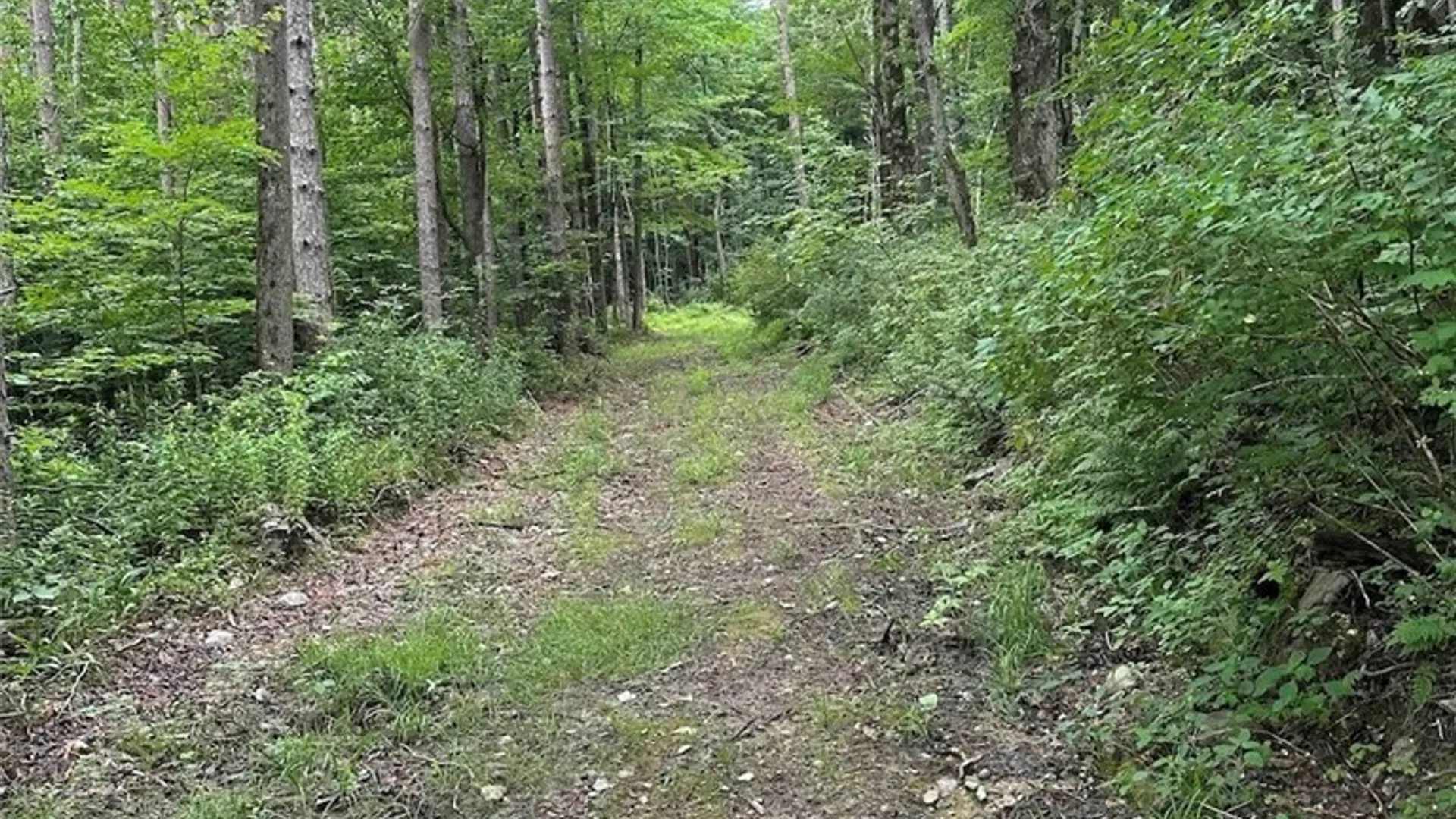 Property at 1501 Old State Road, Colesville, NY 13904 25