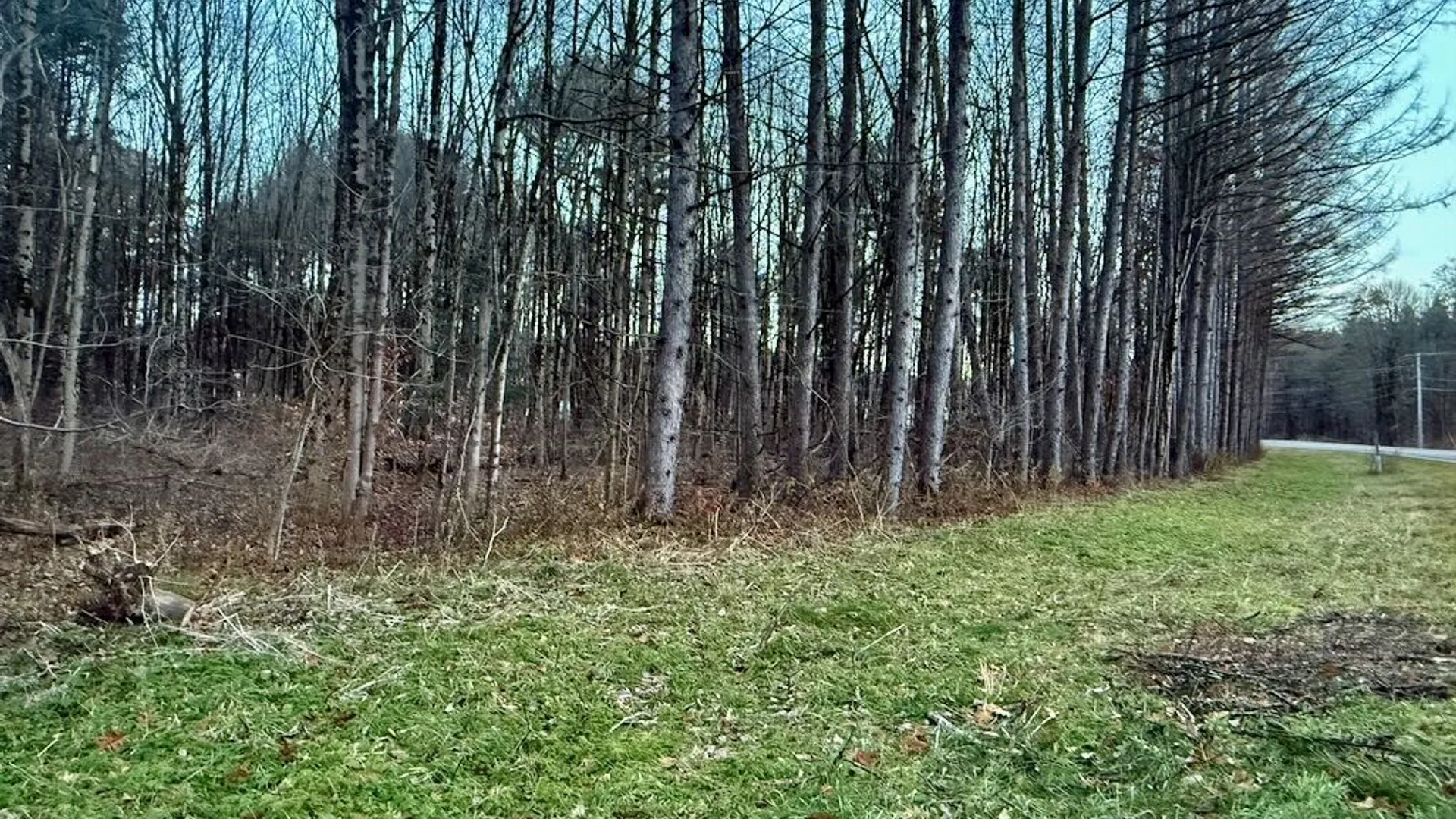 Property at Cr-48, Albion, NY 13302 3