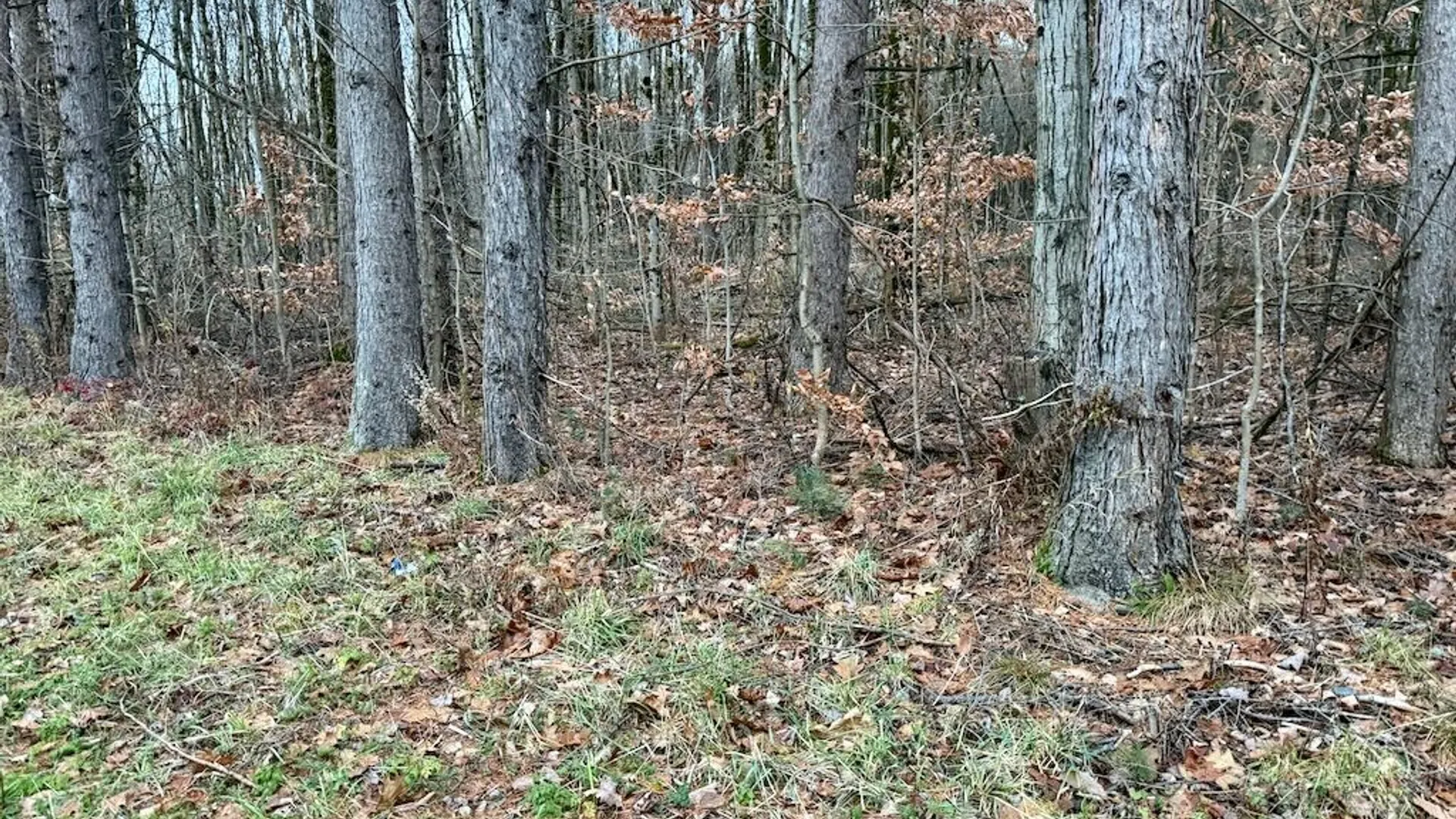 Property at Cr-48, Albion, NY 13302 6