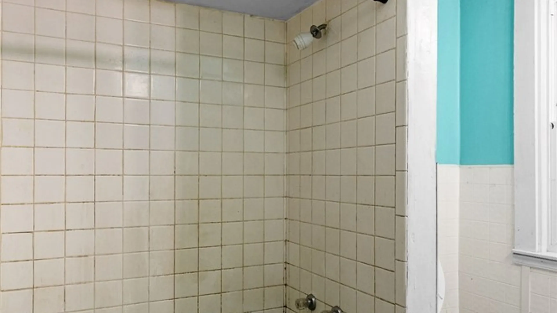 Property at 123 Peter Street, Buffalo, NY 14207 9