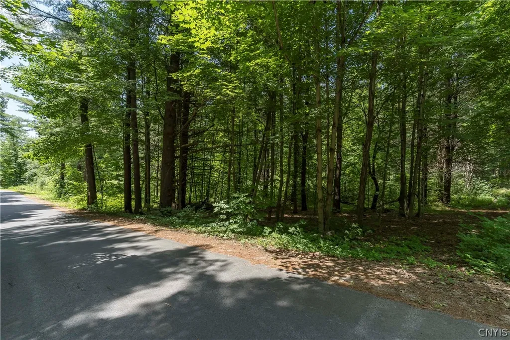 Property at Split Rock Road, Hammond, NY 13646
