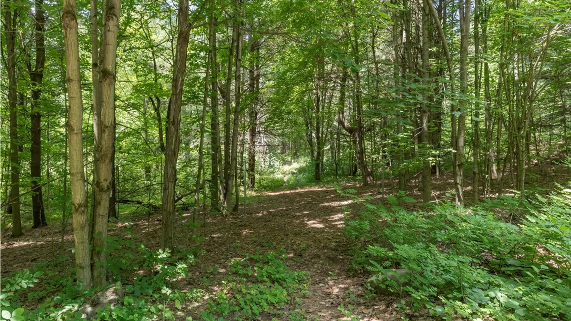 Property at Split Rock Road, Hammond, NY 13646 8