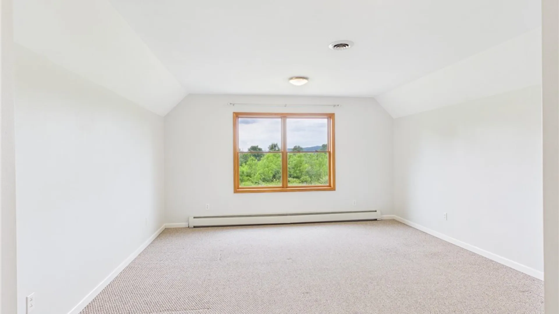 Property at 28 Sheldon Road, Dryden, NY 13068 26