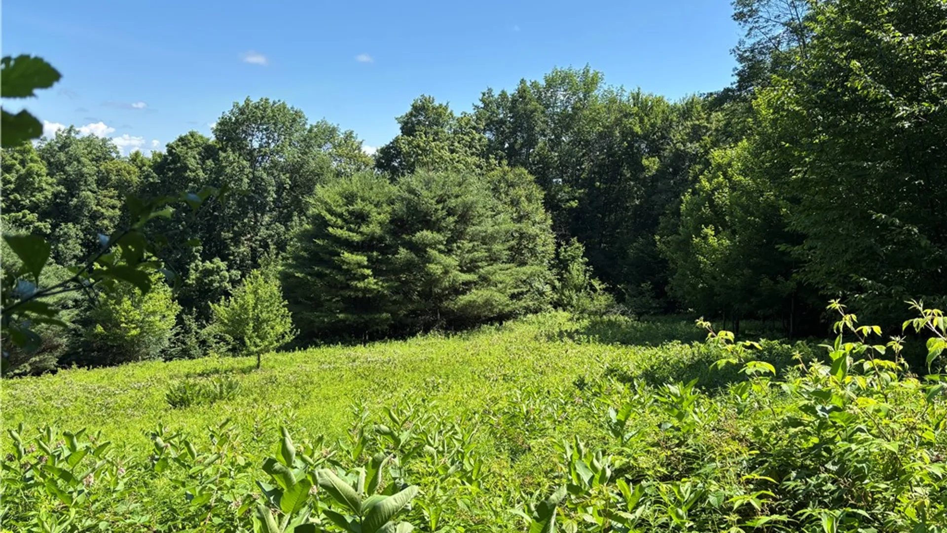 Property at 0 McKee Hill Road, Kortright, NY 13757 2