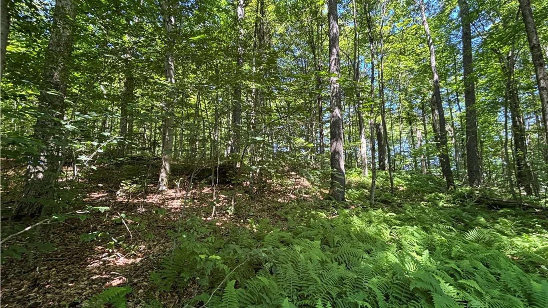 Property at 0 McKee Hill Road, Kortright, NY 13757 14
